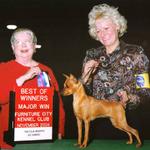 Always a beautiful girl, CH. Cheristar's Emmy Award is my 2nd generation. She has produced 8 AKC Champions to date. 