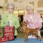 CH. Cheristar's Sandy Sandals winning a 4 point Major. Sandy is owned by Tana Thames, NC